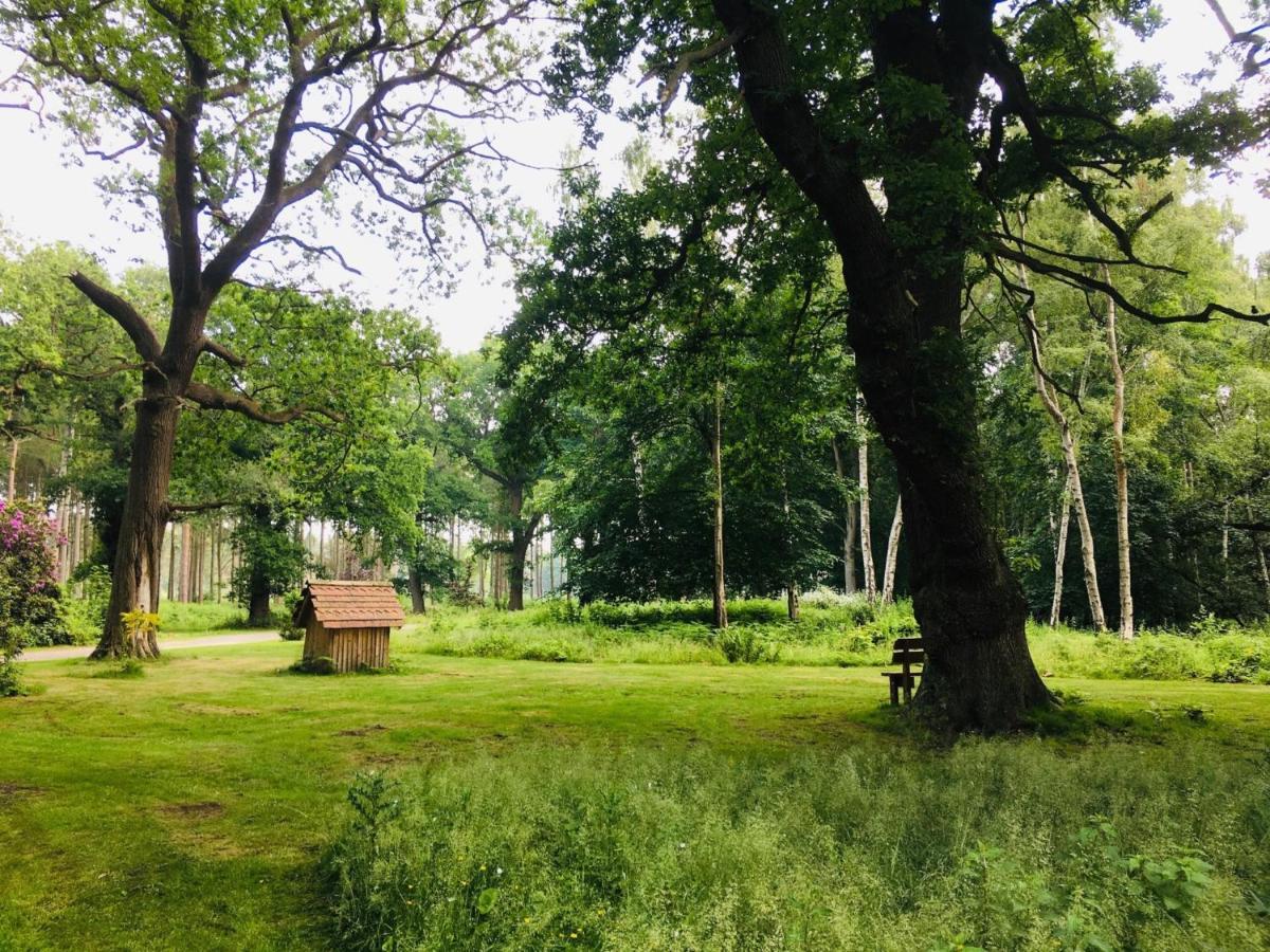 Hollicarrs - Long Lane Lodge Йорк Экстерьер фото